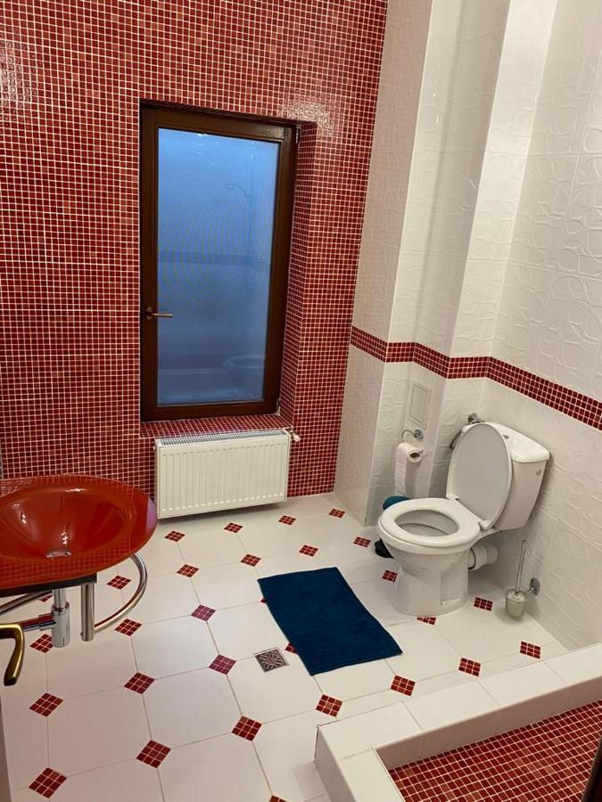 הוילה Sînpetru Casa Tita מראה חיצוני תמונה